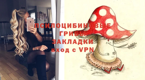 героин Богданович